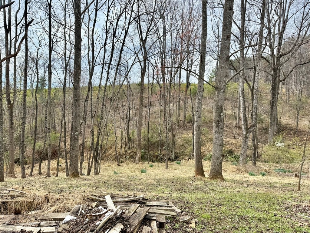 4947 Stones Dairy Road Bassett, VA 24055 - Photo 14 of 14 Gallery Image 14