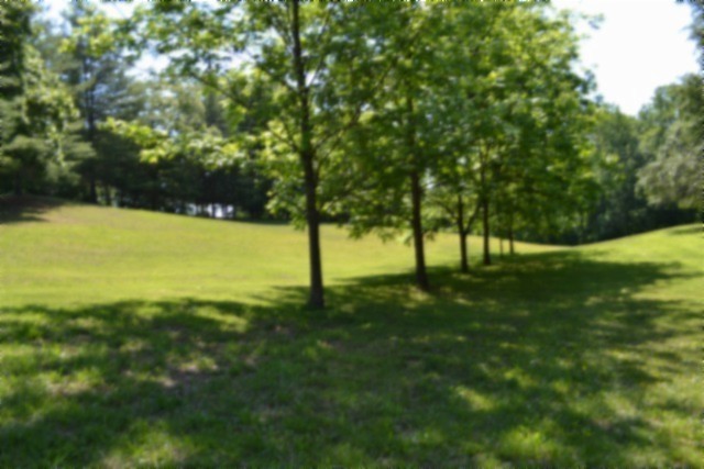 318 Rock Springs Road Celina, TN 38551 - Photo 55 of 87