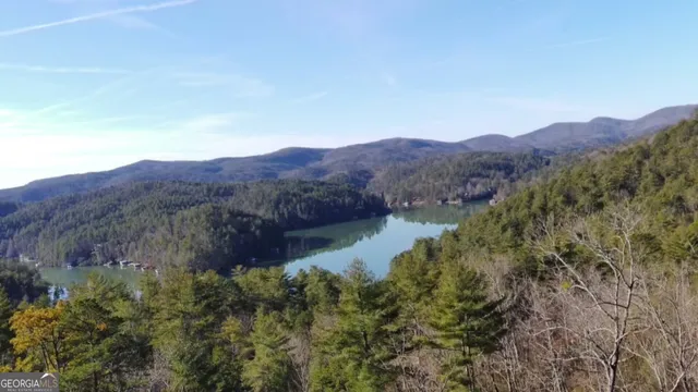 a view of a lush green field with mountains in the background