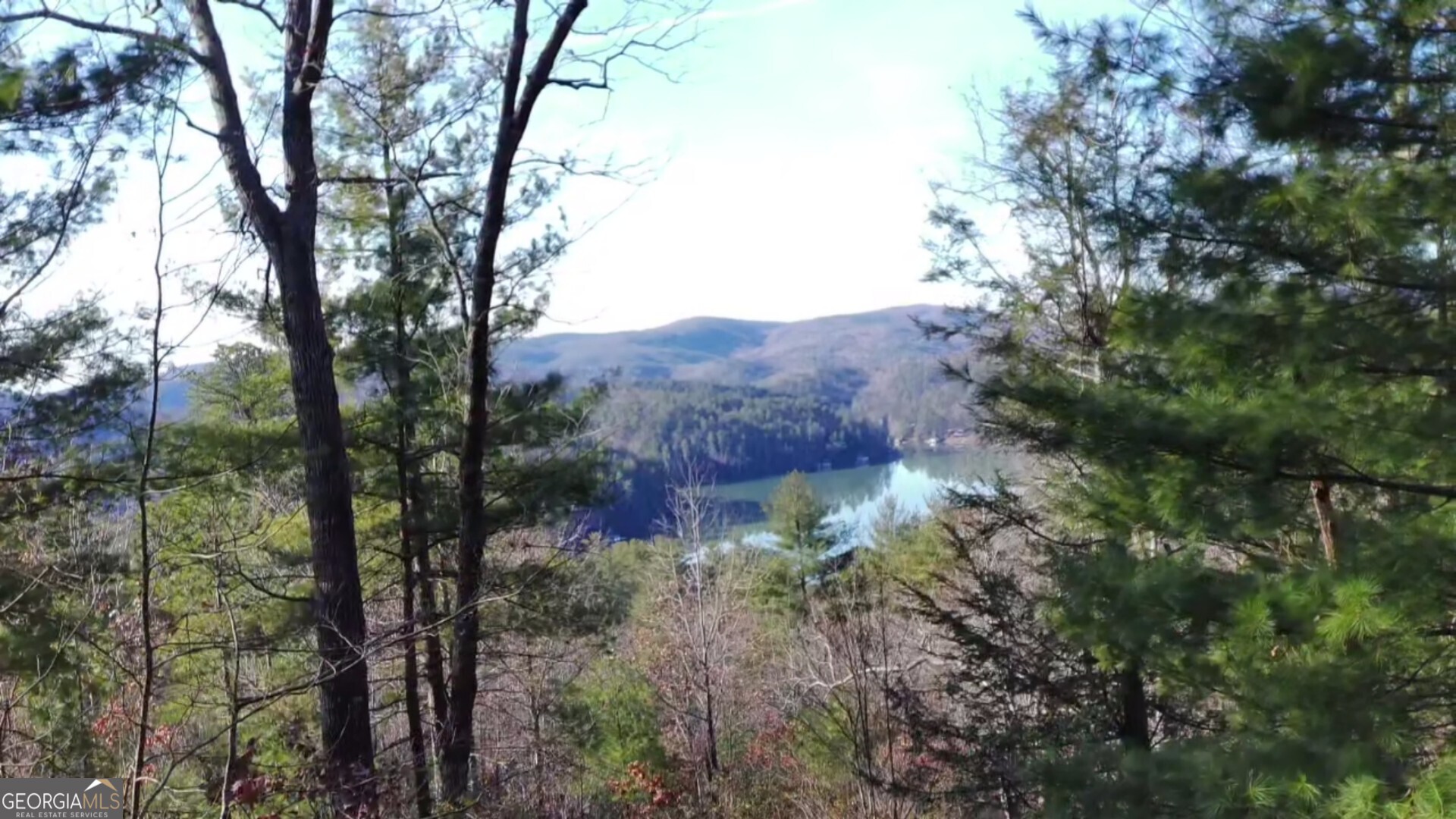 16 Rabun Bluffs, Unit 16 Lakemont, GA 30552 - Photo 12 of 28 a view of a forest with trees