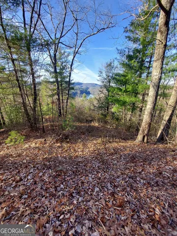 a view of a yard with plants and trees