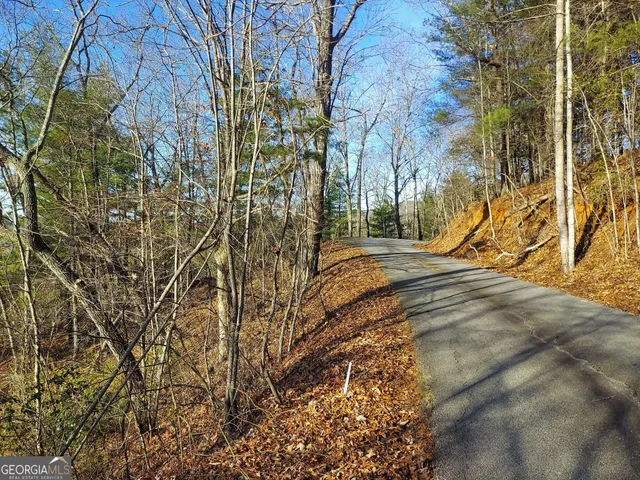 a view of yard with trees