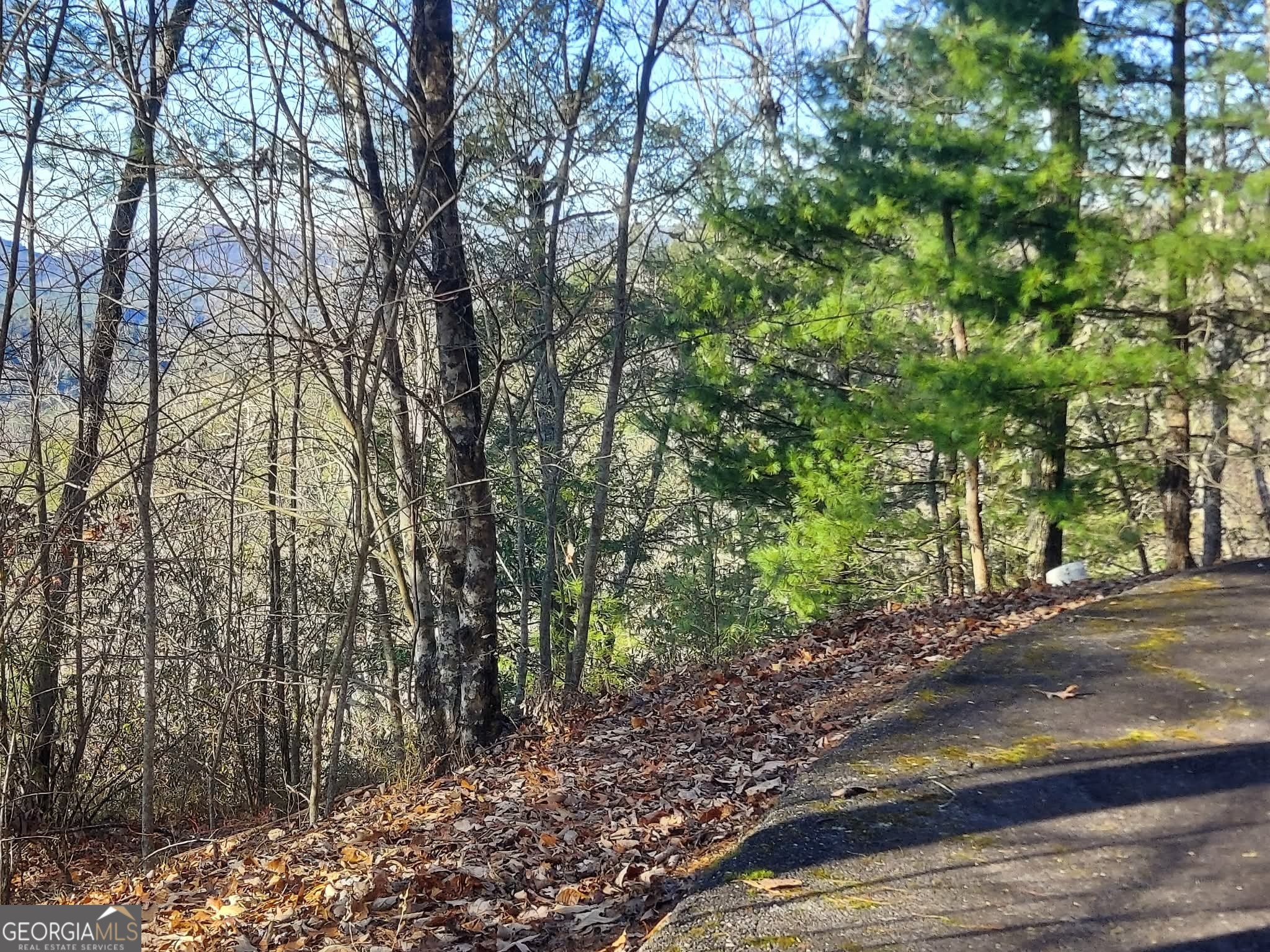 16 Rabun Bluffs, Unit 16 Lakemont, GA 30552 - Photo 15 of 28 a view of a yard with plants and trees