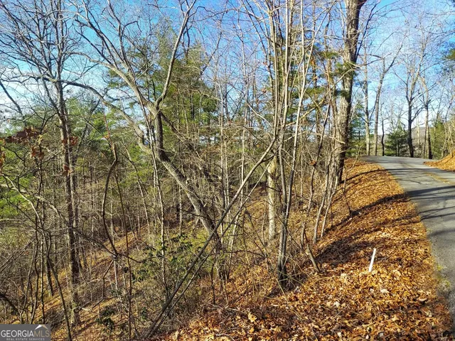 a view of a yard with plants and trees