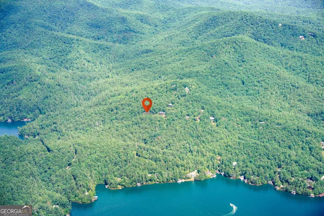 a view of a green field with lots of bushes