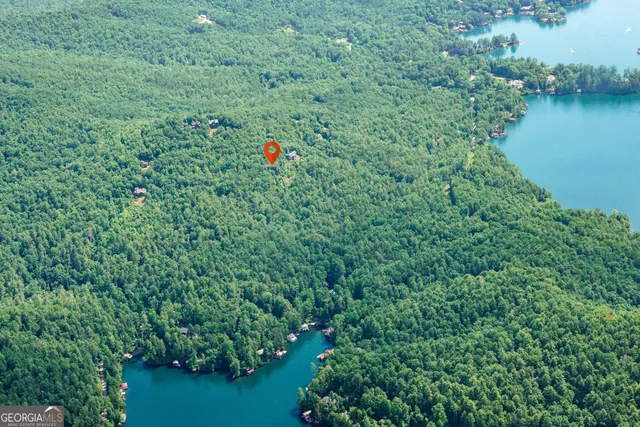 a view of a green field with lots of bushes