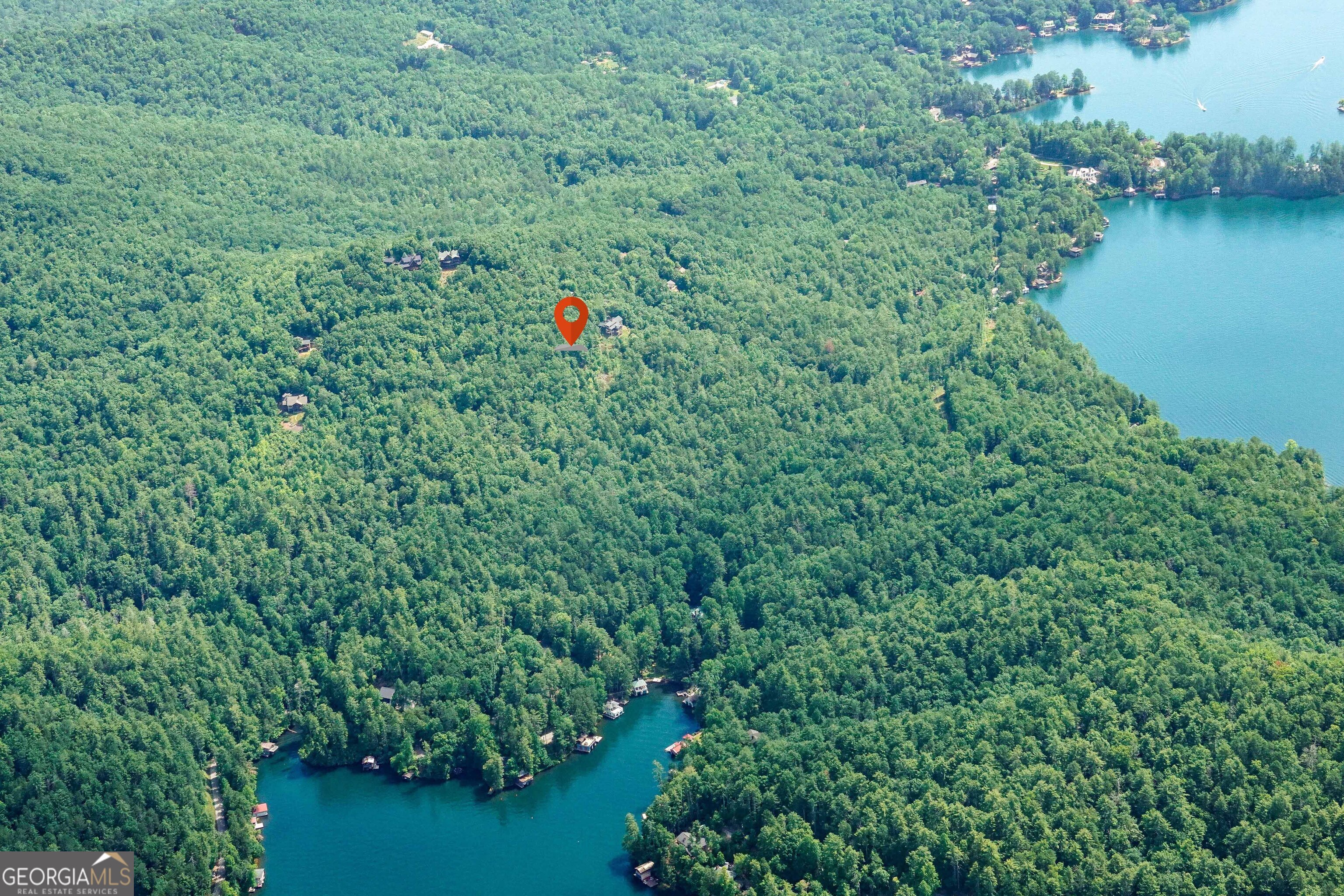 16 Rabun Bluffs, Unit 16 Lakemont, GA 30552 - Photo 20 of 28 a view of a green field with lots of bushes