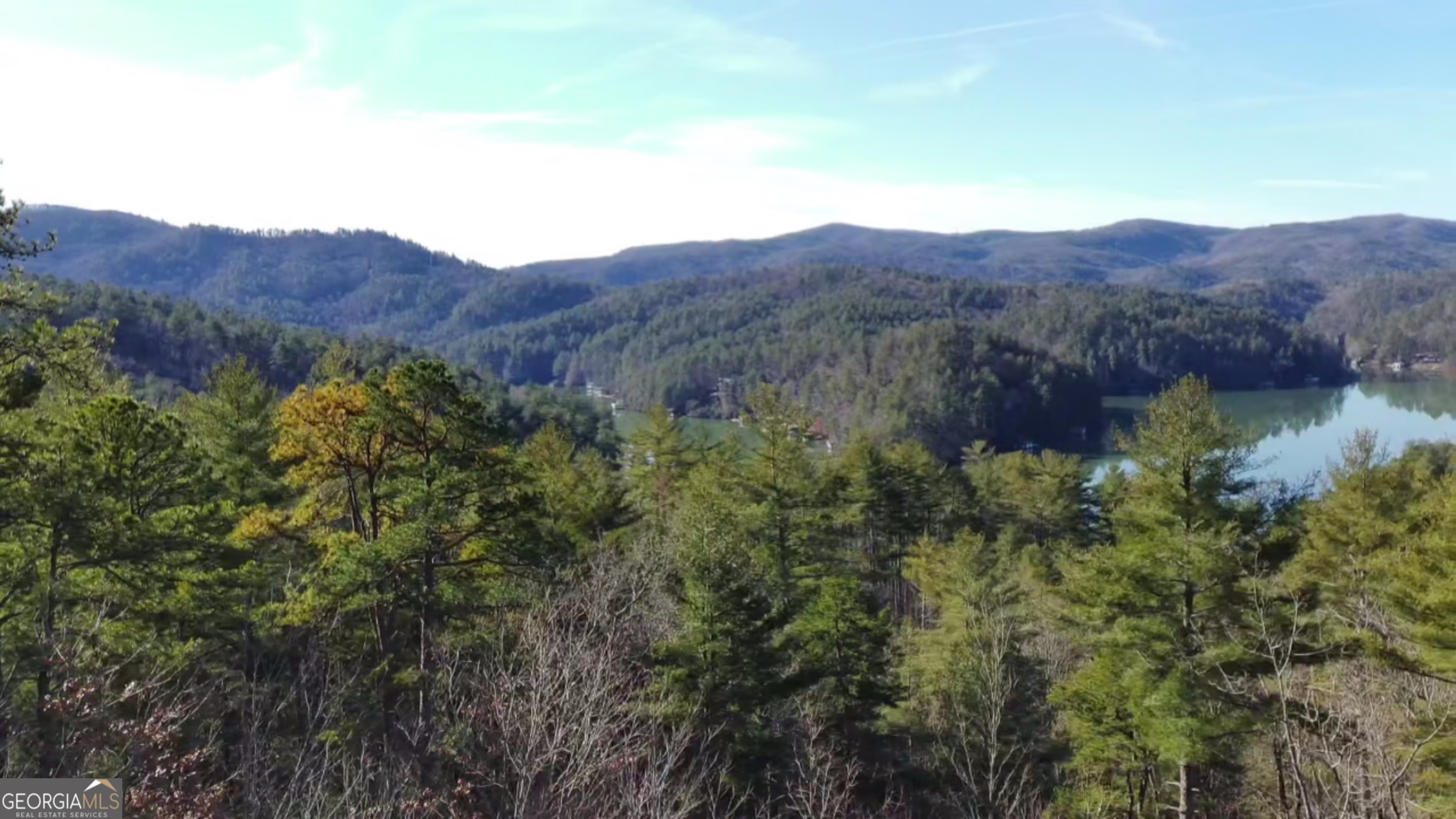 16 Rabun Bluffs, Unit 16 Lakemont, GA 30552 - Photo 2 of 28 a view of a lush green field