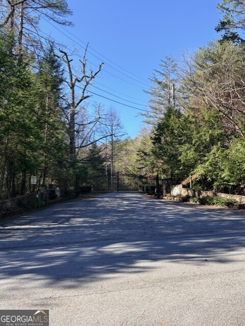 16 Rabun Bluffs, Unit 16 Lakemont, GA 30552 - Photo 24 of 28 a view of a yard