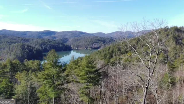 a view of a lush green field
