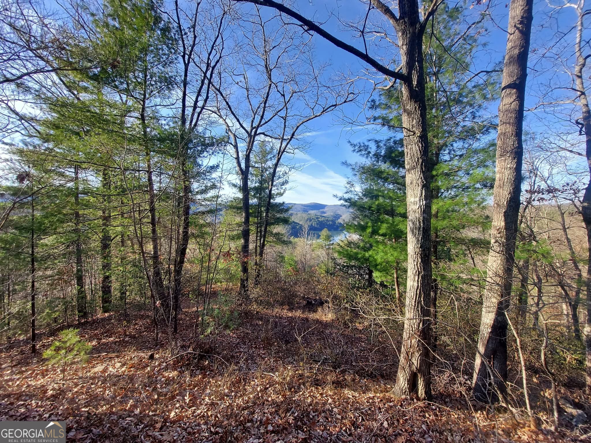 16 Rabun Bluffs, Unit 16 Lakemont, GA 30552 - Photo 5 of 28 a view of a yard with plants and trees