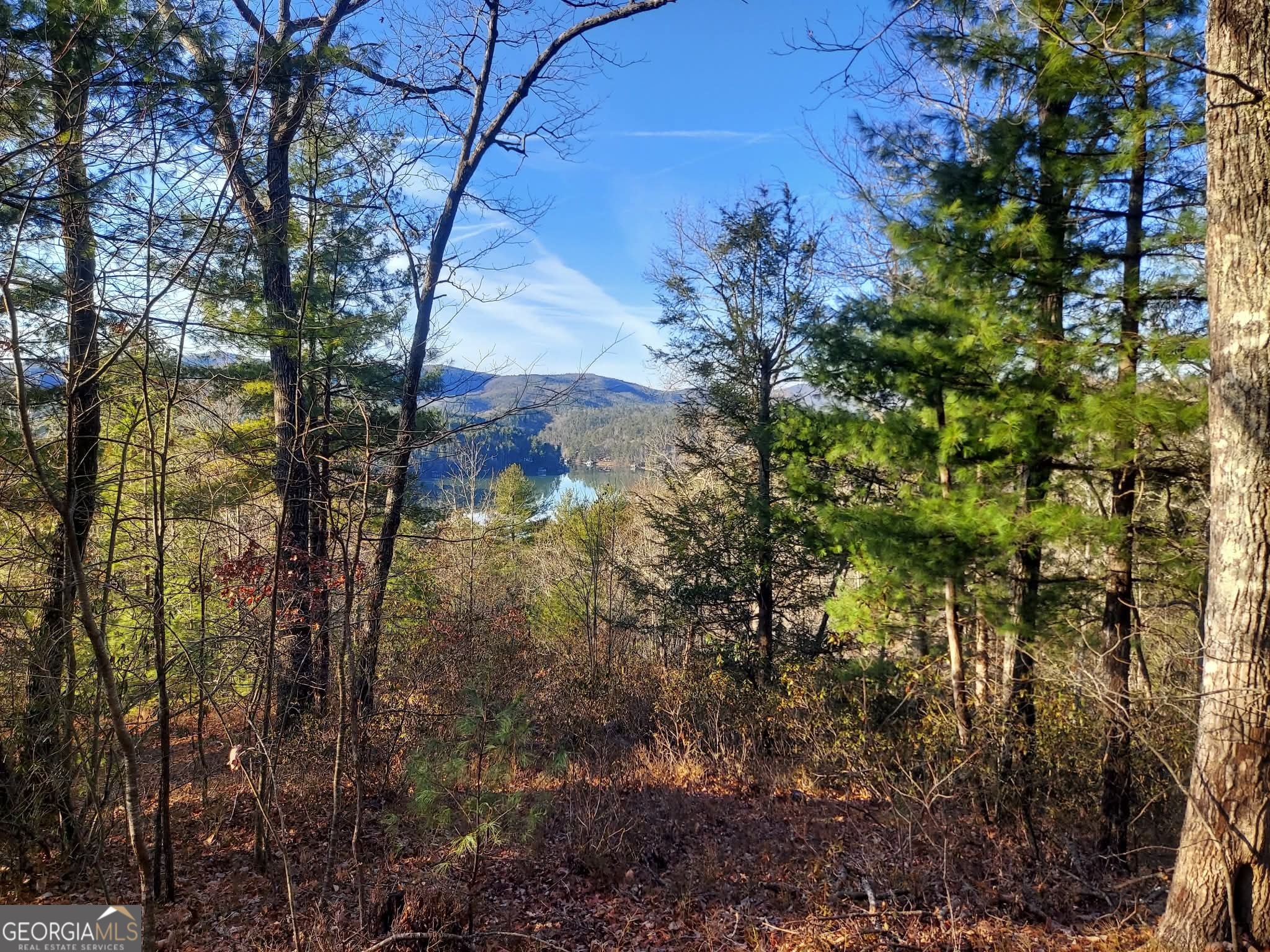 16 Rabun Bluffs, Unit 16 Lakemont, GA 30552 - Photo 6 of 28 a view of a yard
