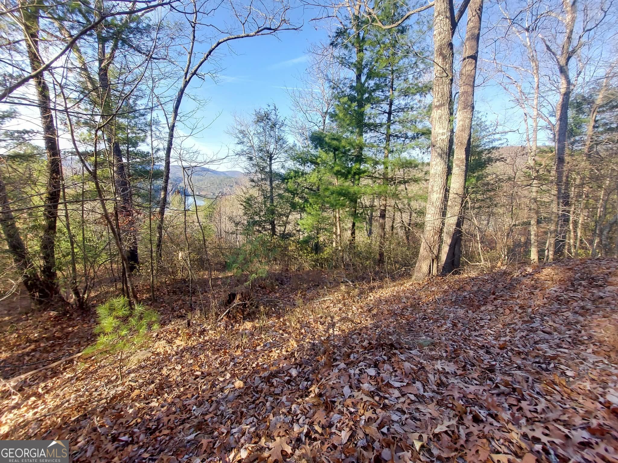 16 Rabun Bluffs, Unit 16 Lakemont, GA 30552 - Photo 7 of 28 a backyard of a house