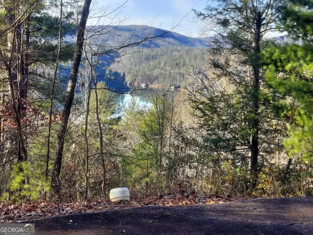 a view of a yard from a tree