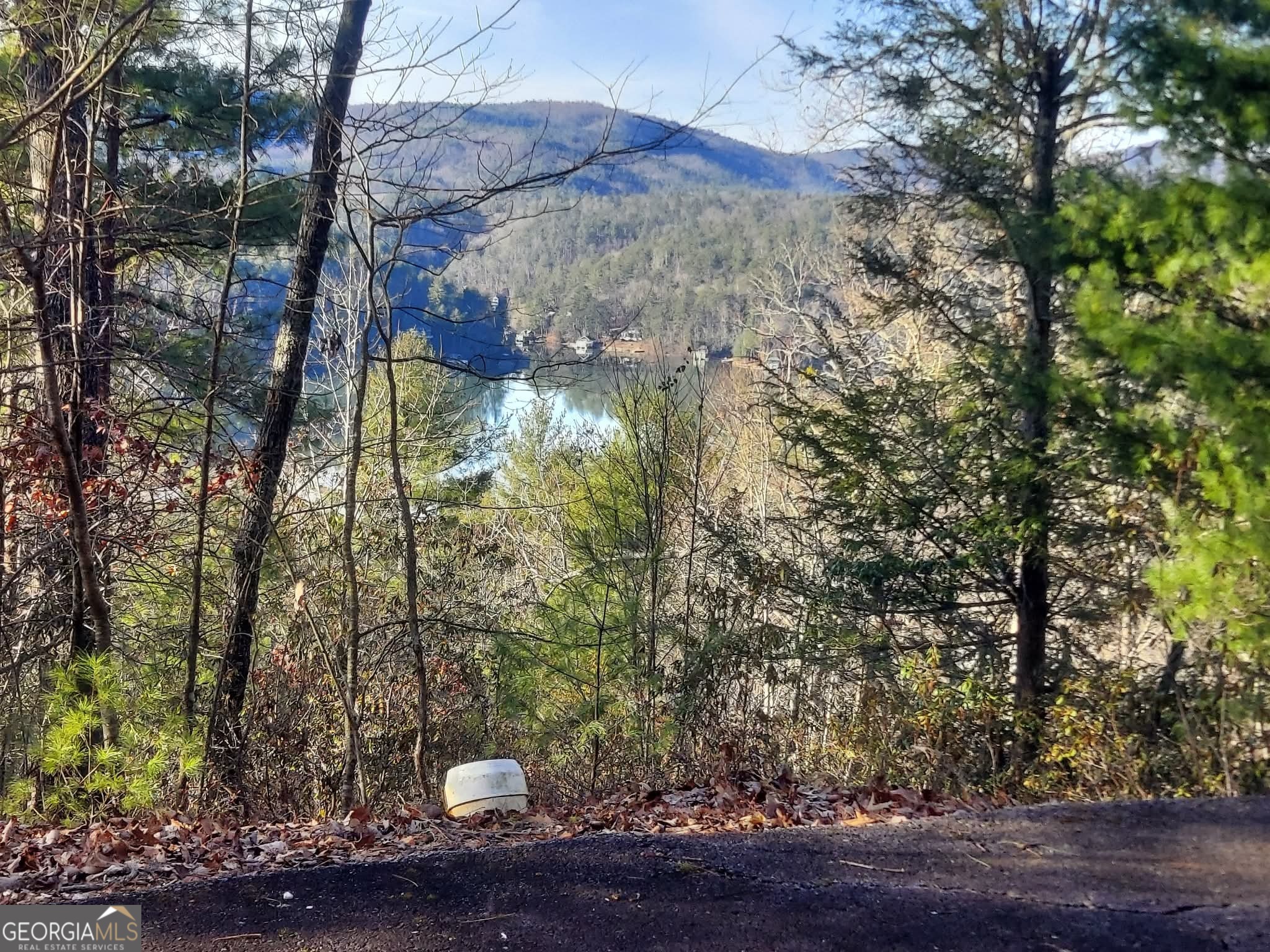 16 Rabun Bluffs, Unit 16 Lakemont, GA 30552 - Photo 9 of 28 a view of a yard from a tree