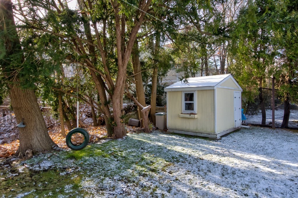 31 Roosevelt Road Newton, MA 02459 - Photo 33 of 39