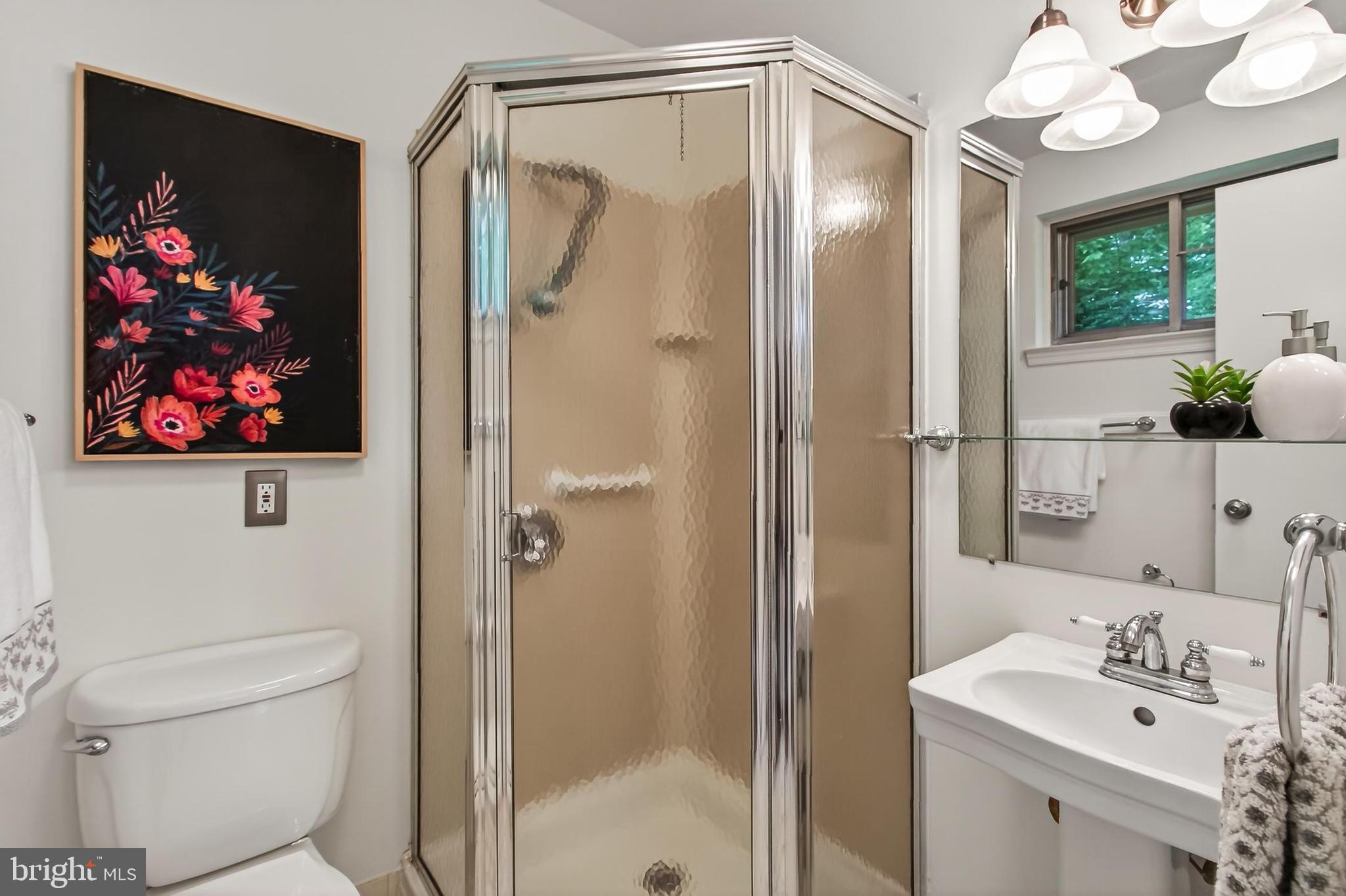 5502 Kempton Drive Springfield, VA 22151 - Photo 22 of 49 Ensuite step-in shower
