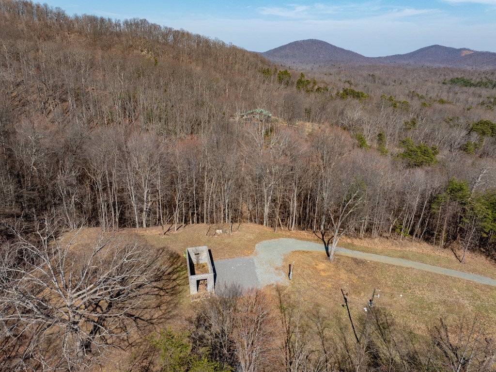 1445 Griffith Hill Road, Unit 780008501 Ferrum, VA 24088 - Photo 7 of 24 Gallery Image 7