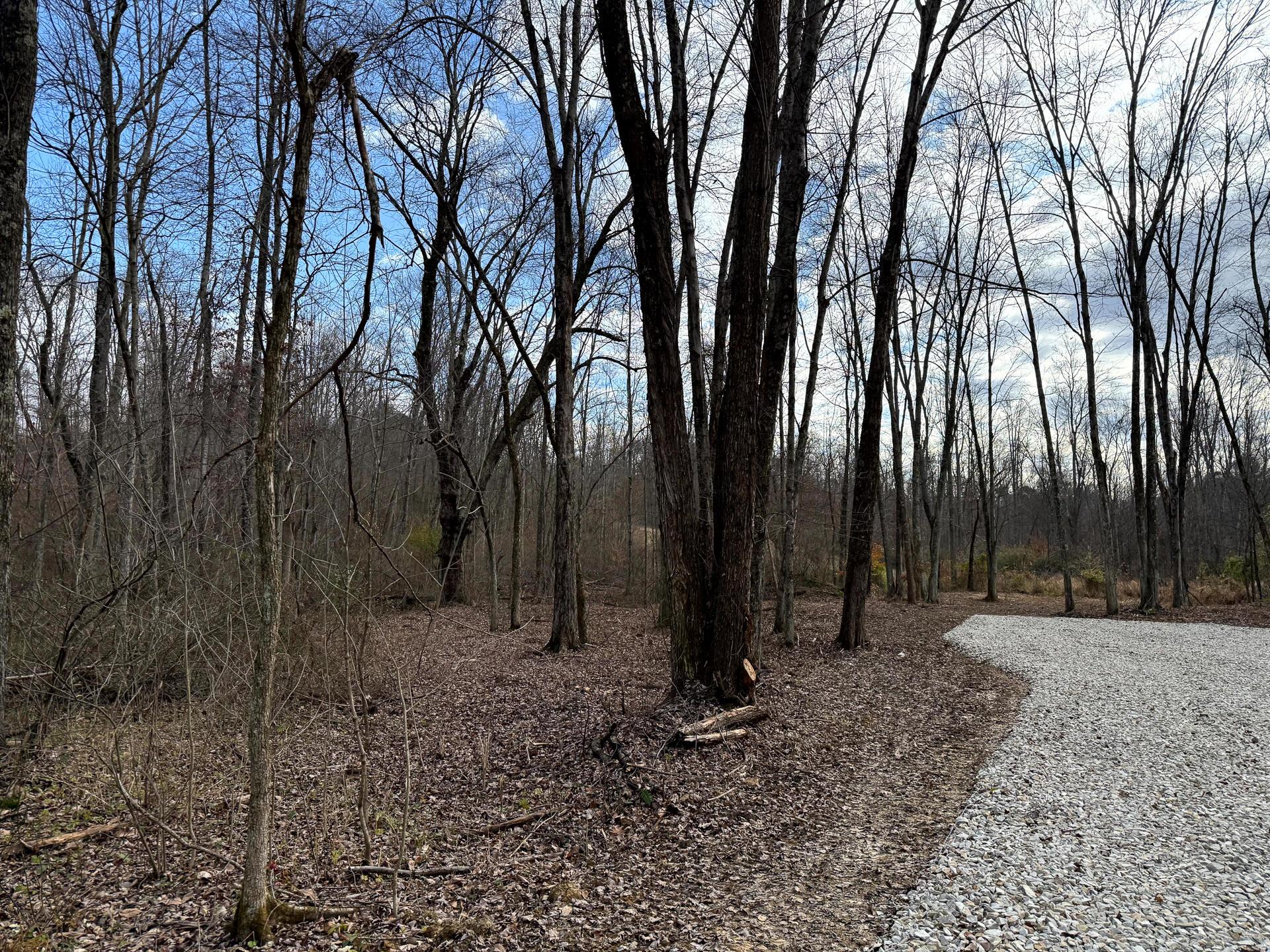 0 Dutch Ridge Road Southeast, Unit WOODS TURKEY RUN TRACT 4) New Lexington, OH 43764 - Photo 17 of 58 CT-17