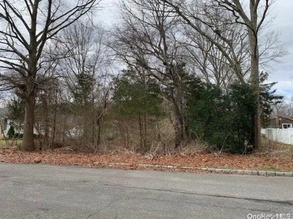 a view of a yard with a house
