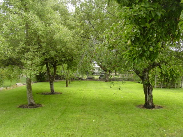 315 South Barker Road Greenacres, WA 99016 - Photo 9 of 18 Gallery Image 9