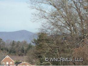 463 Divide Loop Flat Rock, NC 28731 - Photo 11 of 12 Gallery Image 11