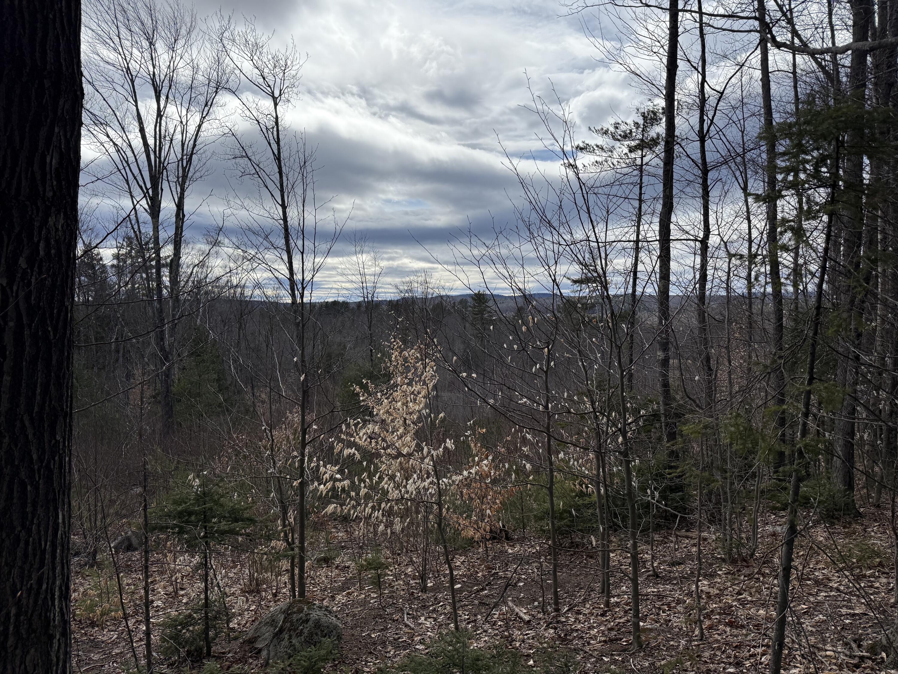 Lot #3 Moose Hill Road Livermore Falls, ME 04254 - Photo 1 of 3 Lot 1 West View