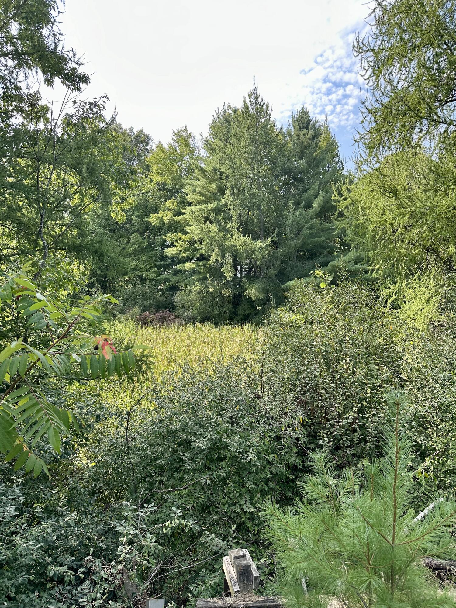 10554 Kickland Road Greenville, MI 48838 - Photo 6 of 13 IMG_0548