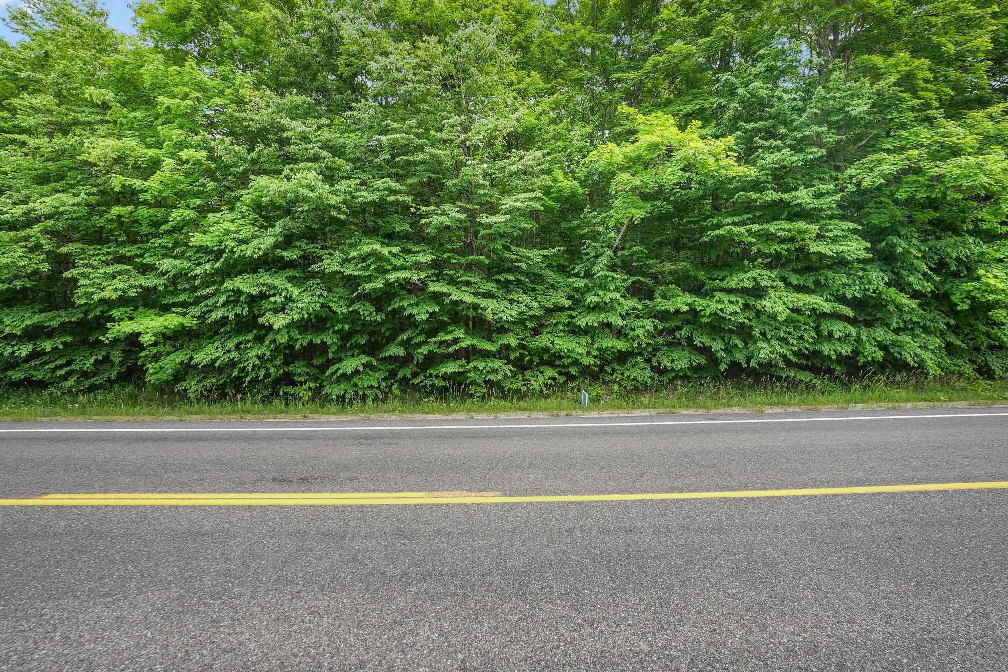 V/l South Coleman Road Maple City, MI 49664 - Photo 20 of 22