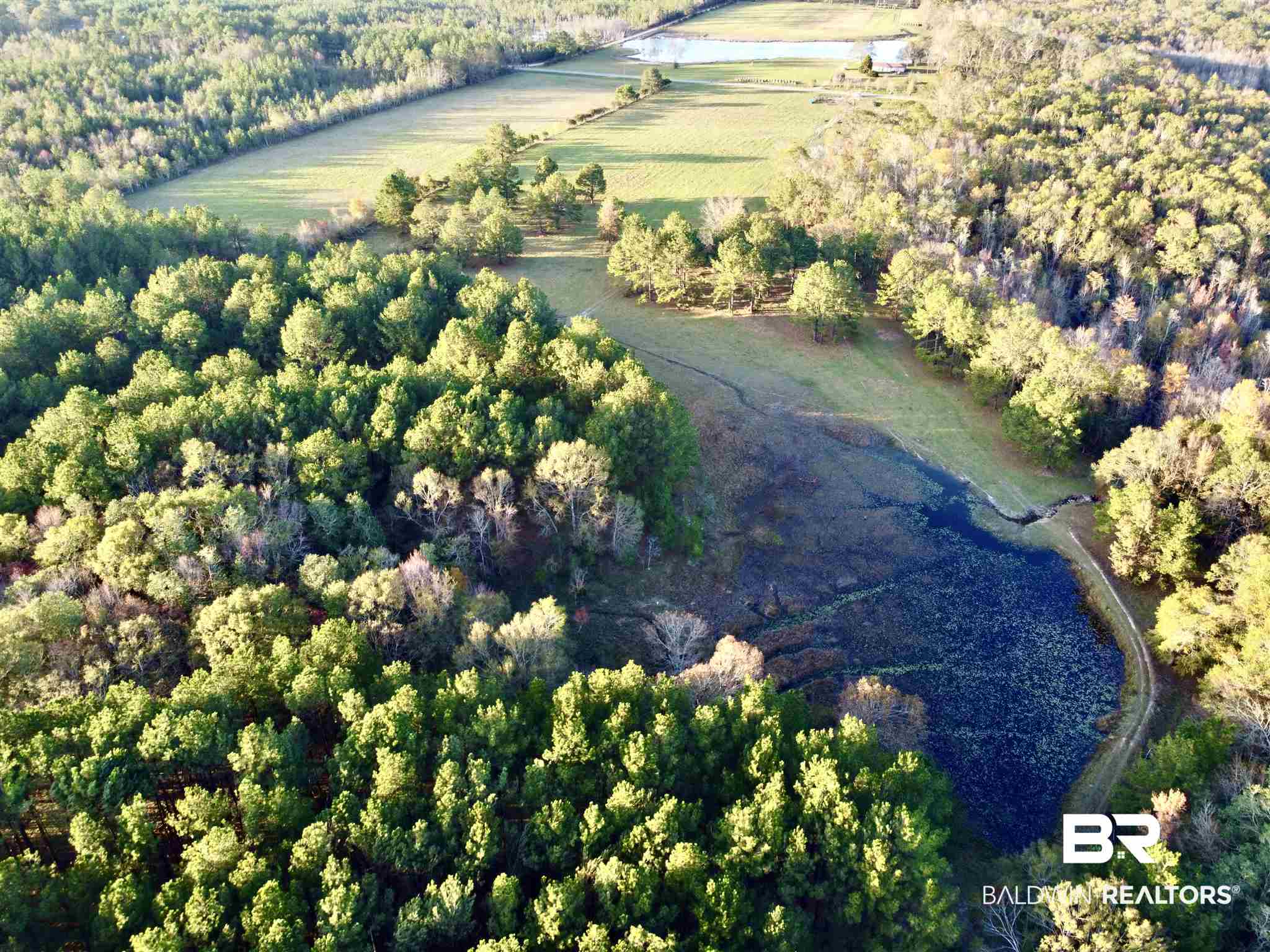 0 Country Road Fruitdale, AL 36539 - Photo 16 of 47