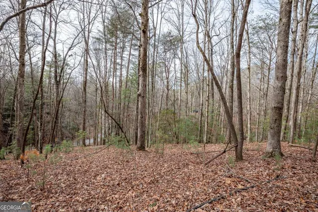a backyard of a house with lots of trees