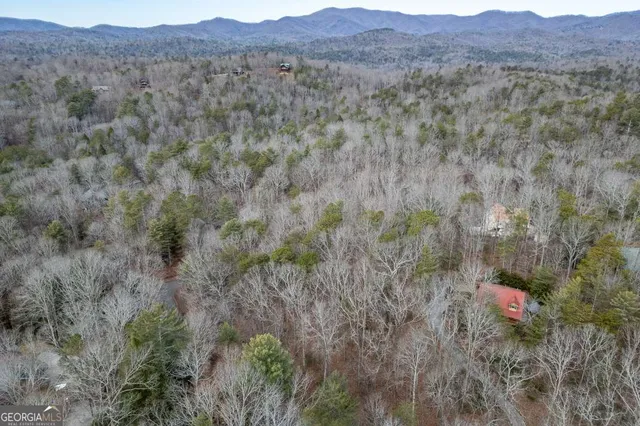 a view of a lush green field