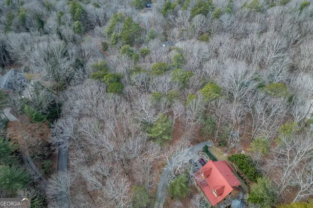 a view of a forest with a bench and trees