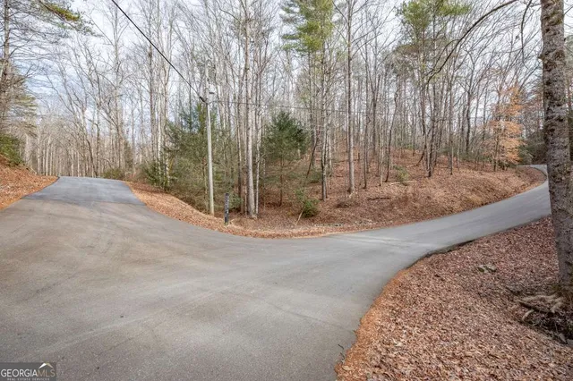 a view of a park with large trees