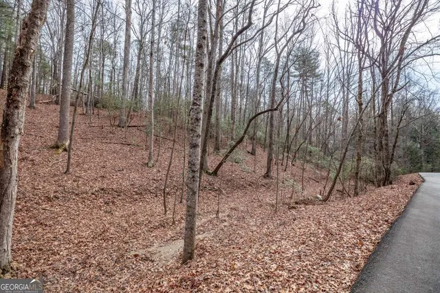 a view of a backyard with large trees