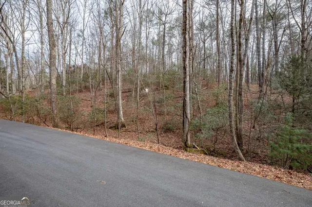 a view of a shower and a sink