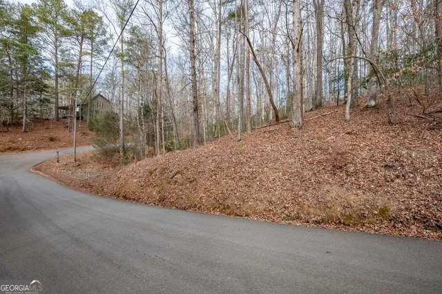 a view of a backyard with large trees