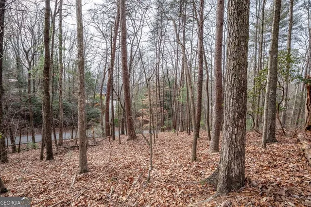 a view of outdoor space with lots of trees