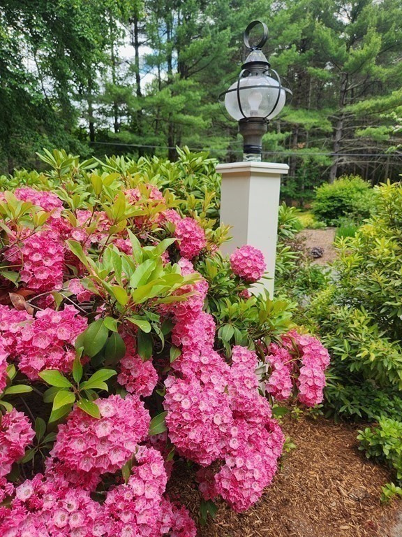 143 Hunters Ridge Road Concord, MA 01742 - Photo 34 of 41 Gallery Image 34