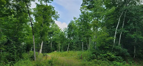 $89,900 | 0 North Lower Twin Lake Road, Hayward, WI 54843