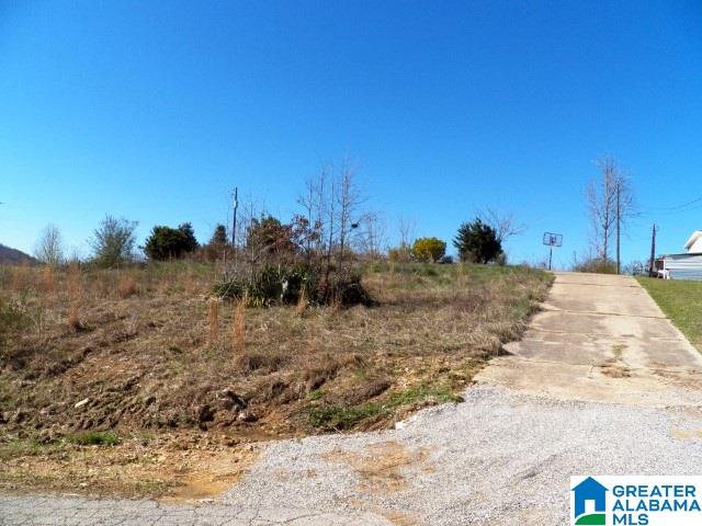 53 Eagle Cove Road, Unit 2 Ohatchee, AL 36271 - Photo 19 of 19