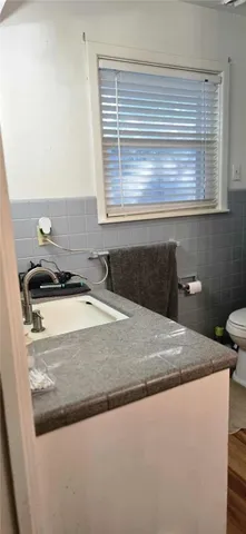 a bathroom with a sink and a toilet