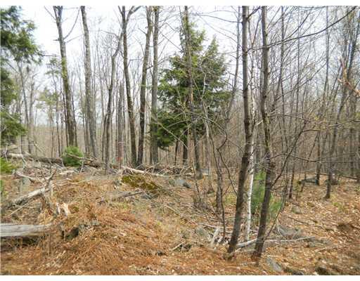 24 Gray Valley Road Guilford, ME 04443 - Photo 6 of 15 Land. Near the back line.