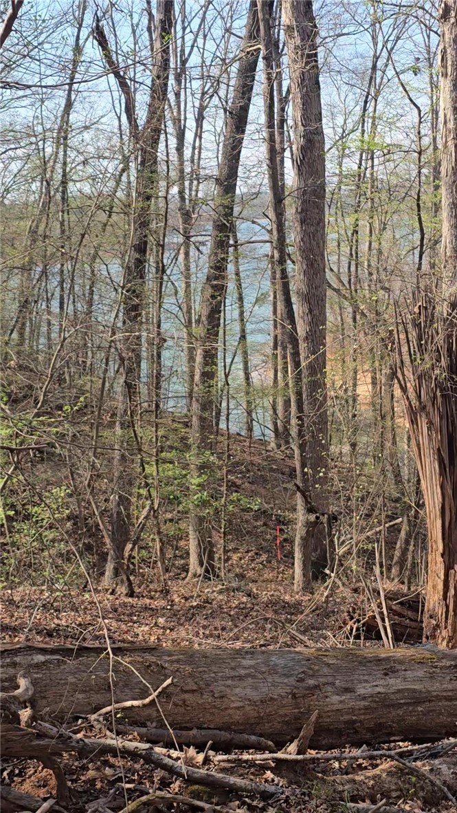 5 Shelor Ferry Road Fair Play, SC 29643 - Photo 15 of 17 Wooded lot with partial lake views, a tranquil escape into nature's embrace.