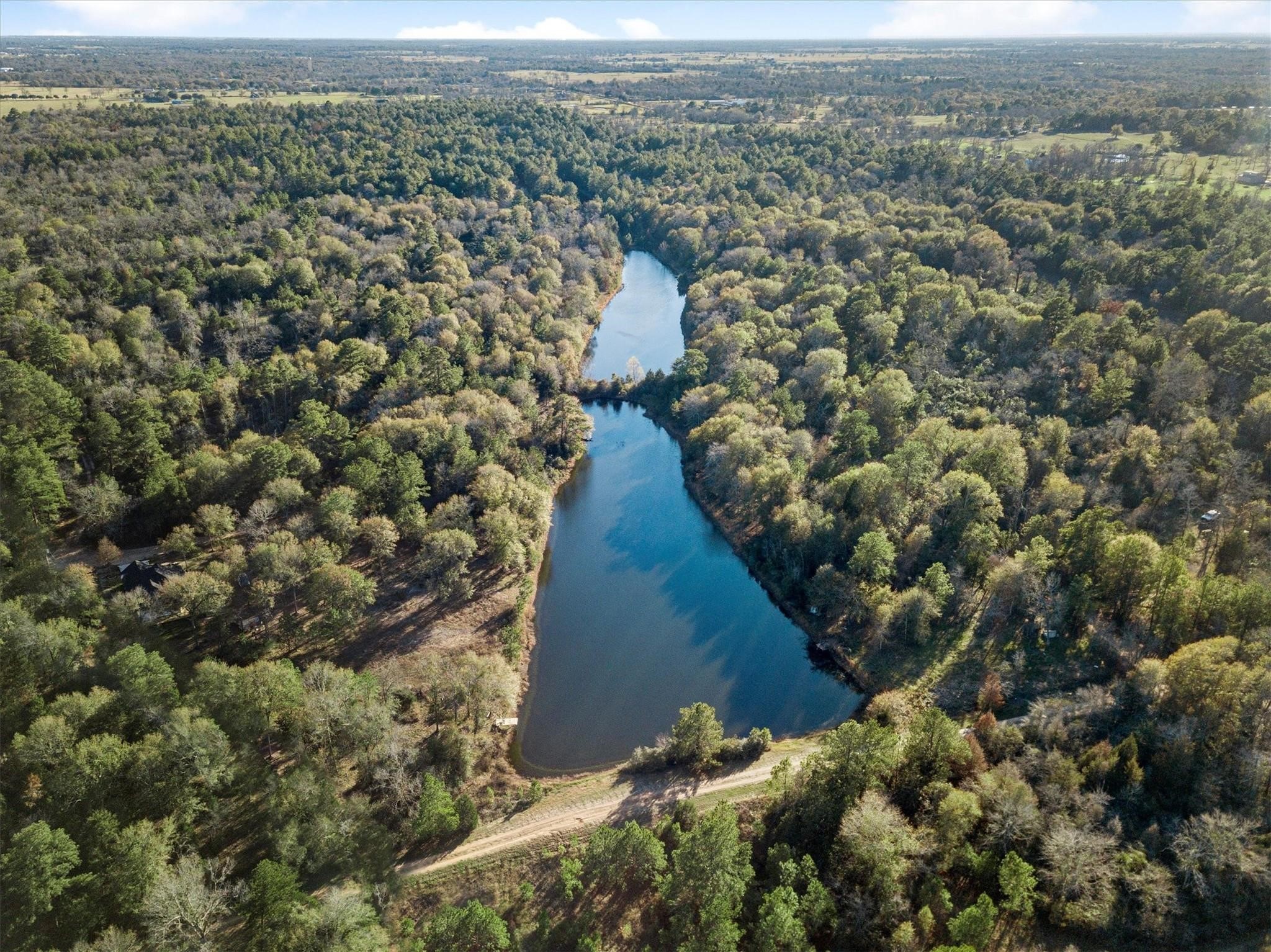 26568 Buck Lane Hempstead, TX 77445 - Photo 3 of 5 an aerial view of house with yard and mountain view in back