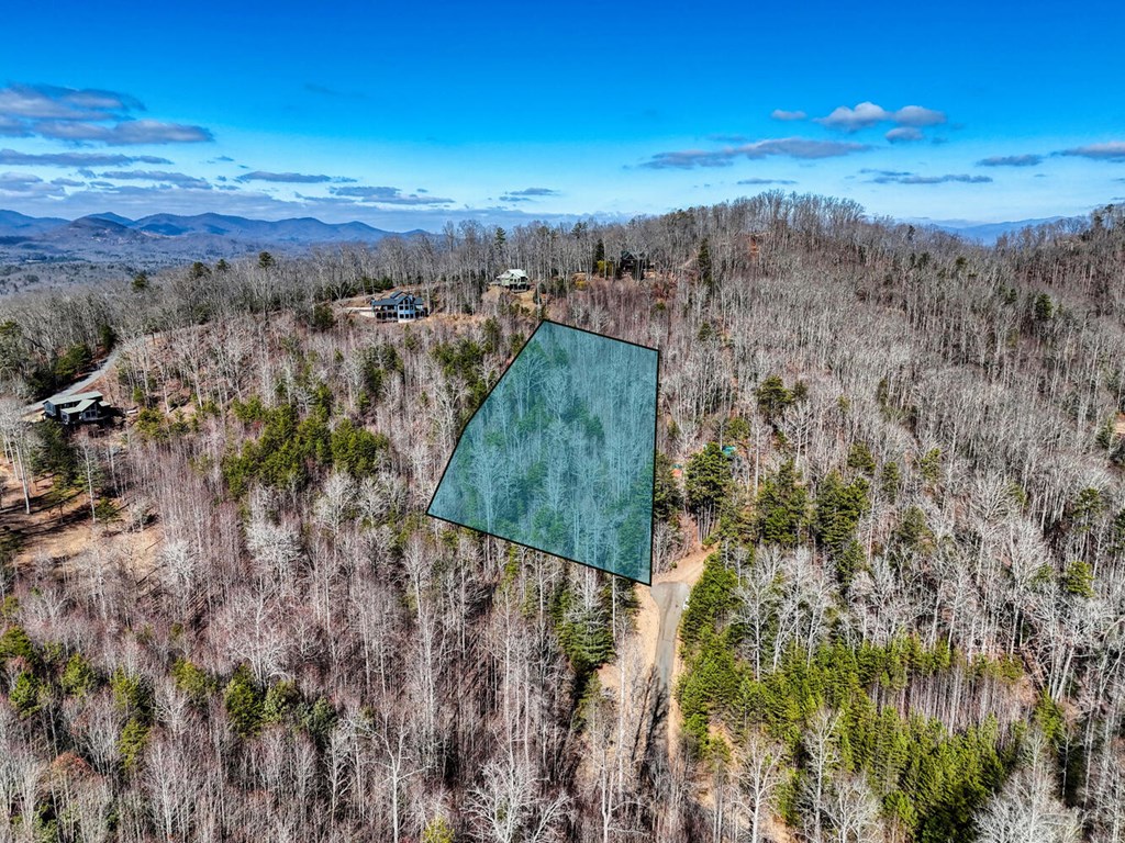 Lot 15 Bear Creek Road Morganton, GA 30560 - Photo 6 of 7 Gallery Image 6