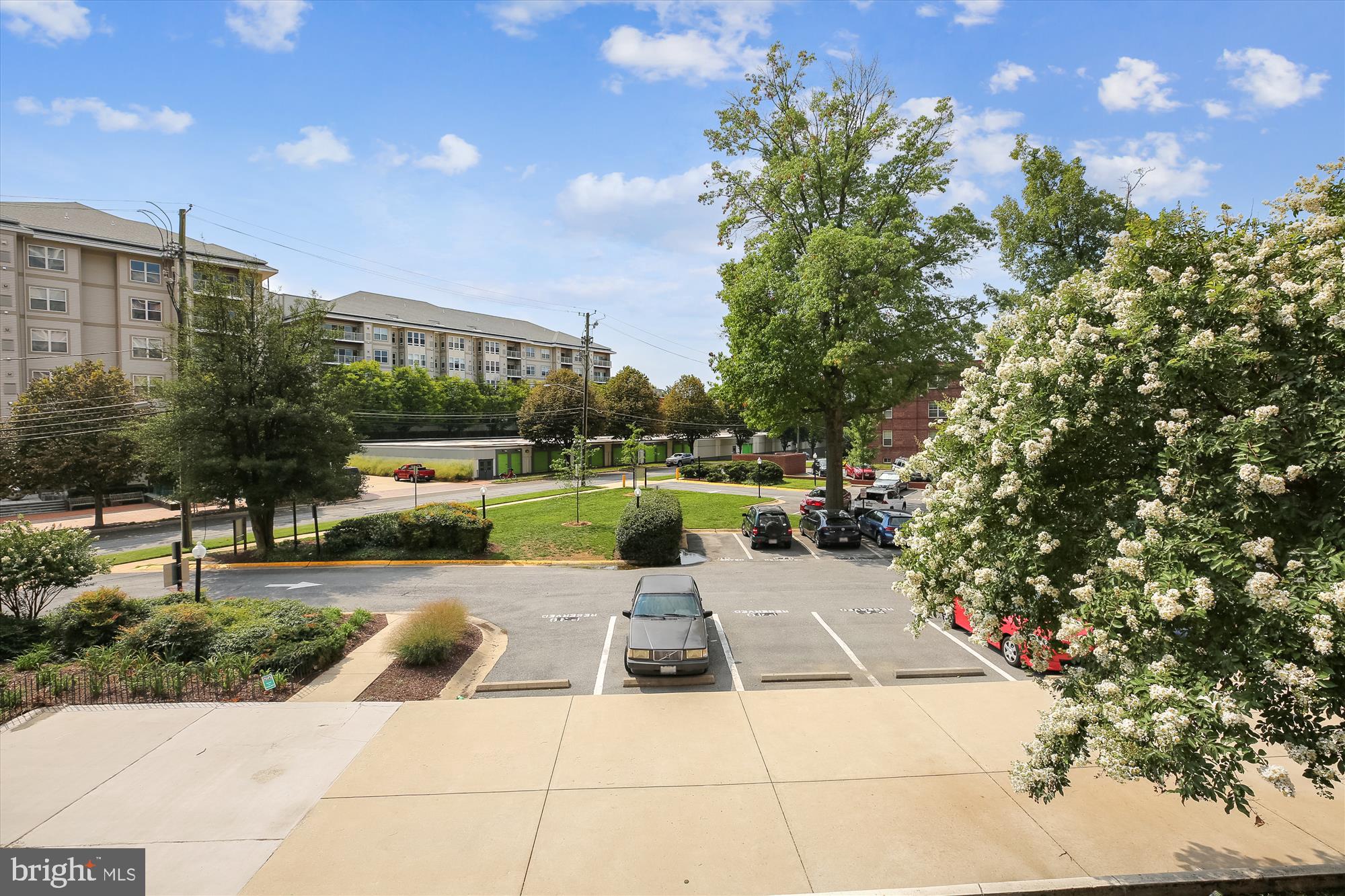 1220 Blair Mill Road, Unit 209 Silver Spring, MD 20910 - Photo 32 of 40