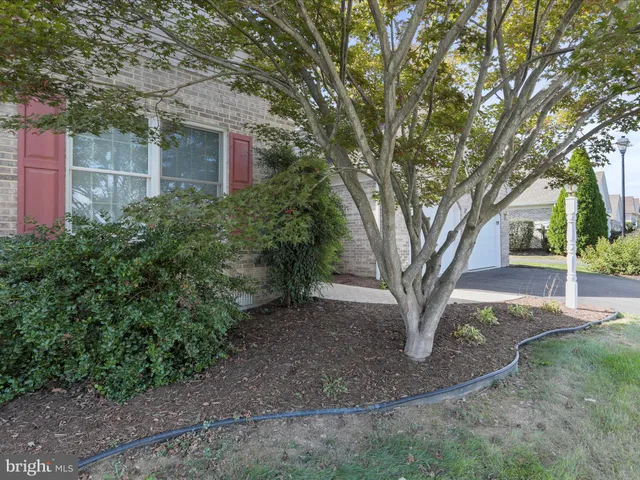 a view of a yard in front of a house with large tree
