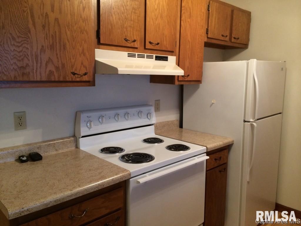 124 Agustus Lane Springfield, IL 62703 - Photo 4 of 23 Gallery Image 4