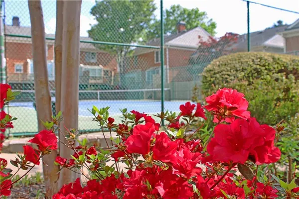 a view of a backyard with a sink and wooden fence